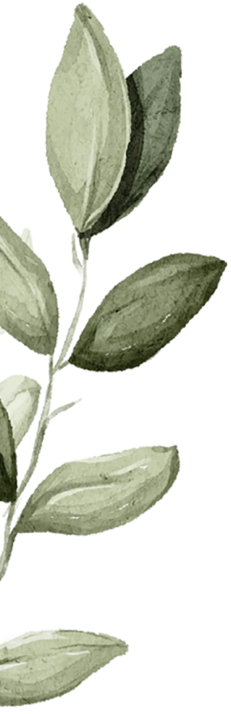 branch-1