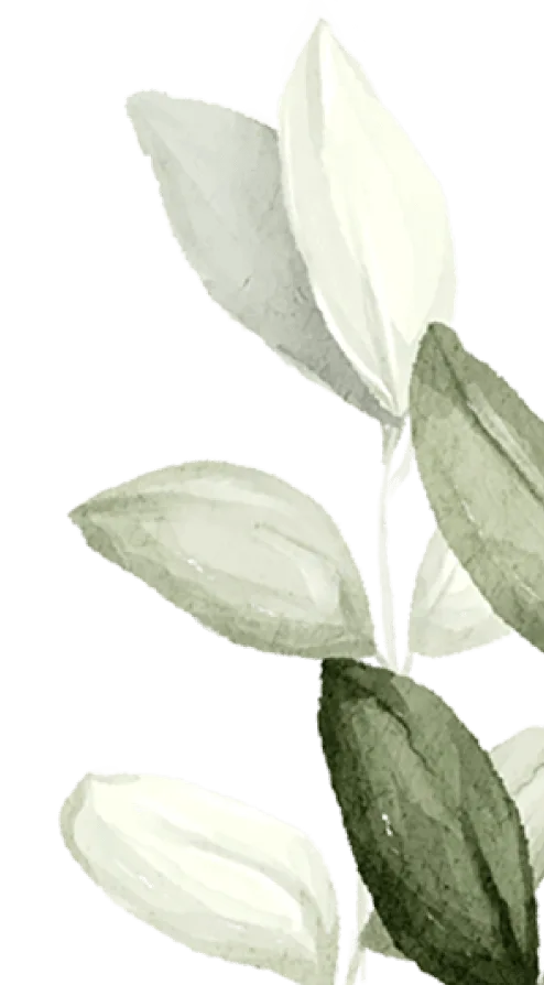 branch-2